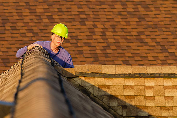 Best Affordable Roof Replacement  in Patrick Springs, VA